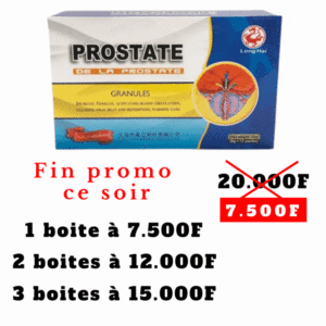 Prostate